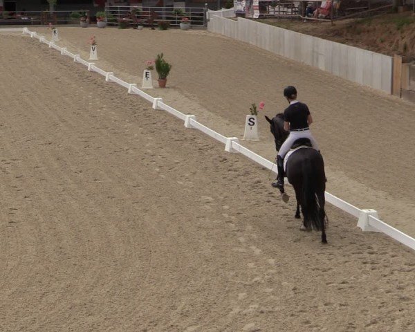 Reitturnier Uder, Reitanlage Kobold 2024