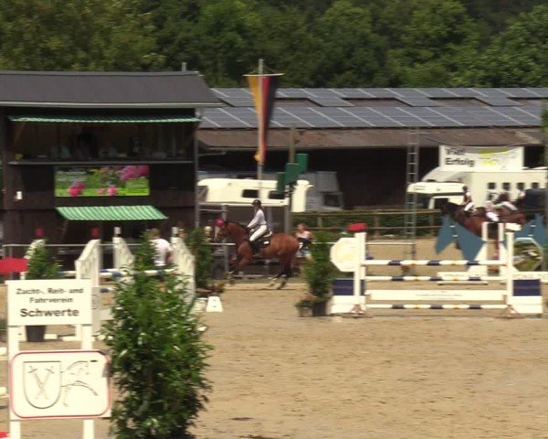Reitturnier Schwerte-Gut Kückshausen 2024