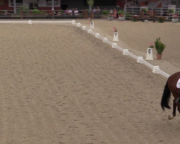 Reitturnier Uder, Reitanlage Kobold 2024