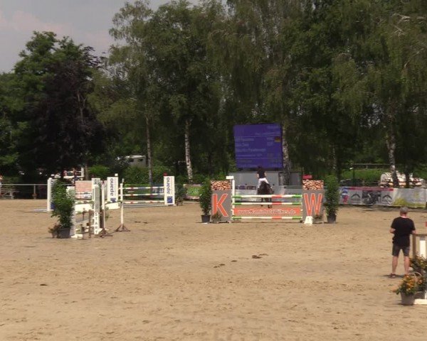 Reitturnier Schwerte-Gut Kückshausen 2024