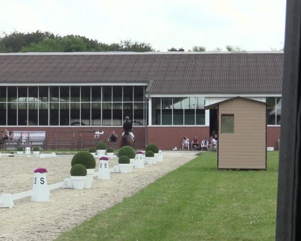 Reitturnier Langenfeld 2024