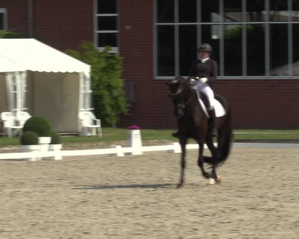 Reitturnier Langenfeld 2024