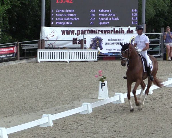 Reitturnier Uder, Reitanlage Kobold 2024