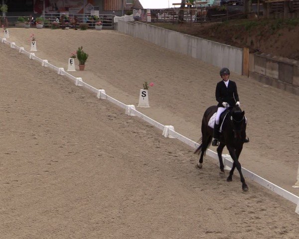 Reitturnier Uder, Reitanlage Kobold 2024