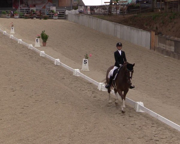 Reitturnier Uder, Reitanlage Kobold 2024