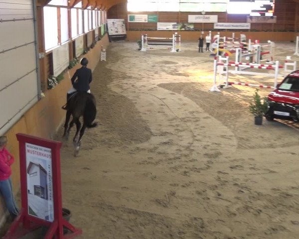 Springturnier Xanten - Reitanlage Miss 2021