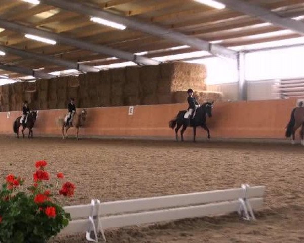 St. Georg Marl 2012