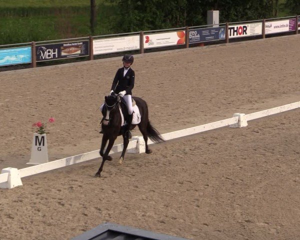 Reitturnier Uder, Reitanlage Kobold 2024
