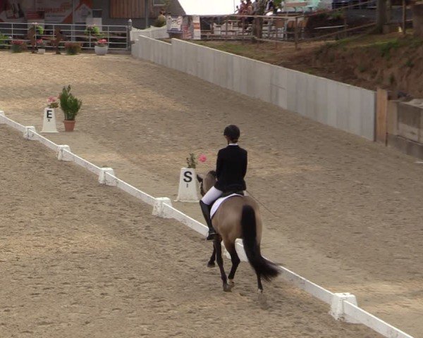 Reitturnier Uder, Reitanlage Kobold 2024