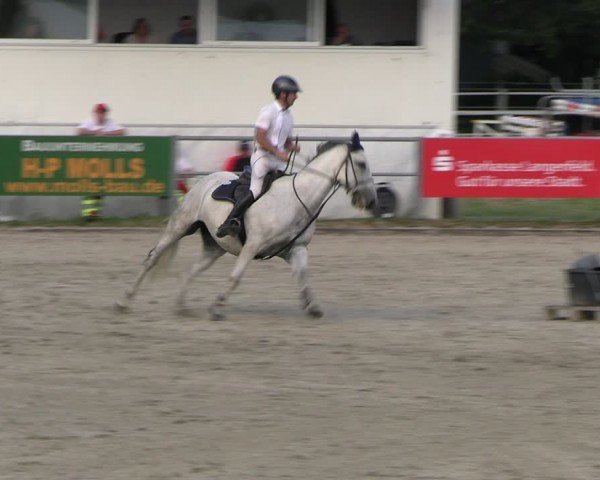 Reitturnier Langenfeld 2024