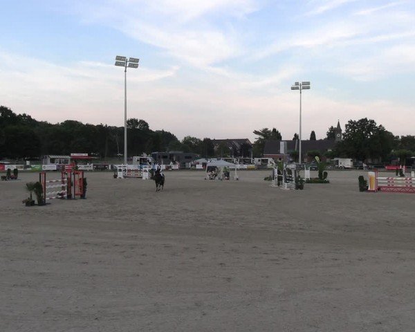 Reitturnier Langenfeld 2024