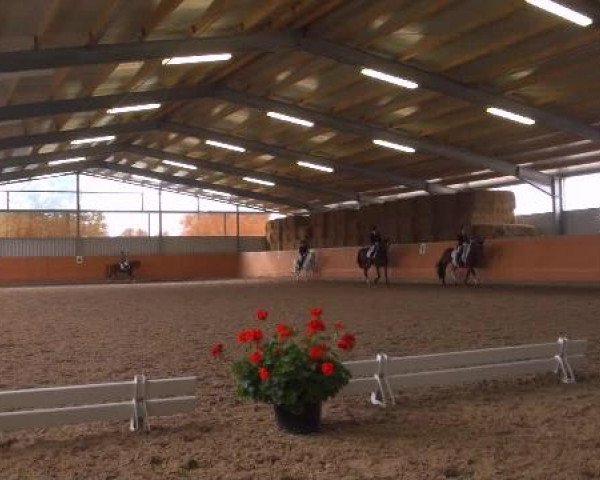 Reitturnier Marl 2012