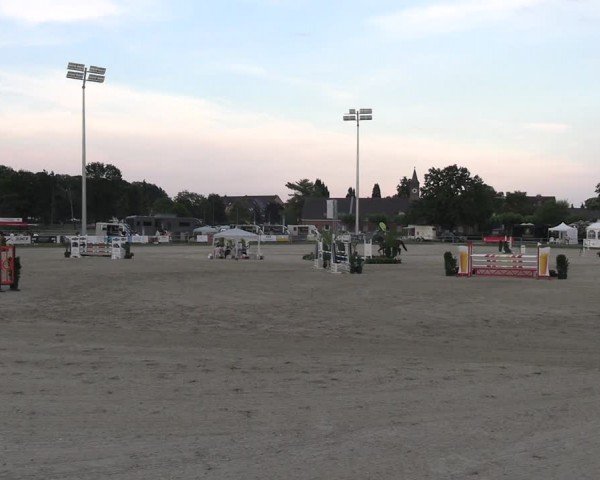 Reitturnier Langenfeld 2024
