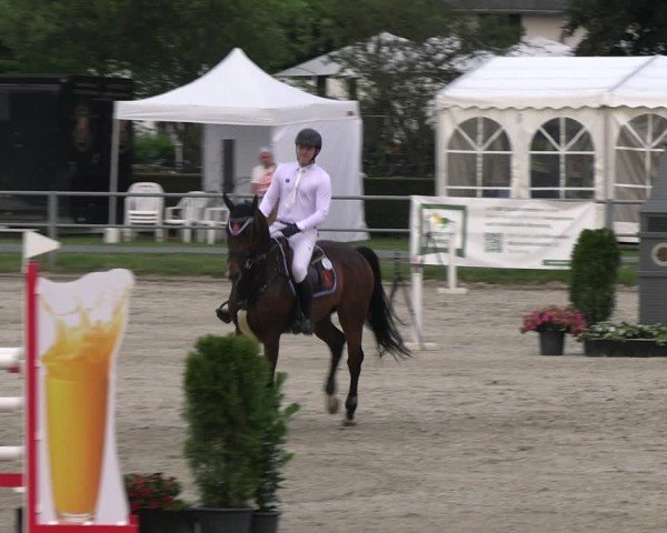 Reitturnier Langenfeld 2024