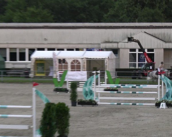 Reitturnier Langenfeld 2024