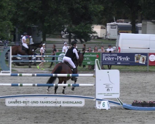 Reitturnier Langenfeld 2024