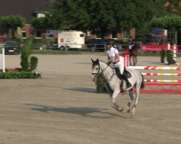 Reitturnier Langenfeld 2024