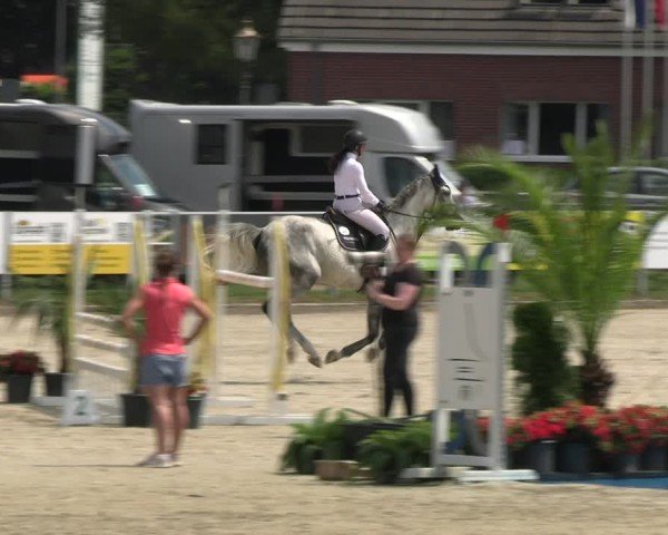 Reitturnier Langenfeld 2024