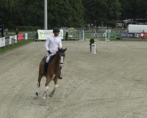 Reitturnier Langenfeld 2024