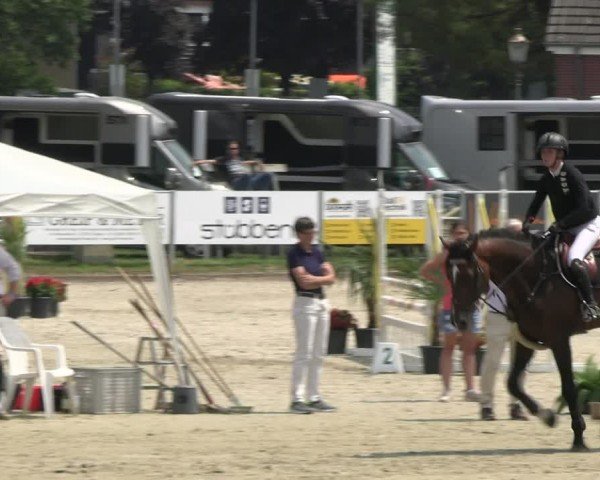 Reitturnier Langenfeld 2024