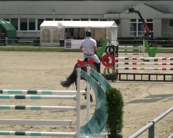 Reitturnier Langenfeld 2024