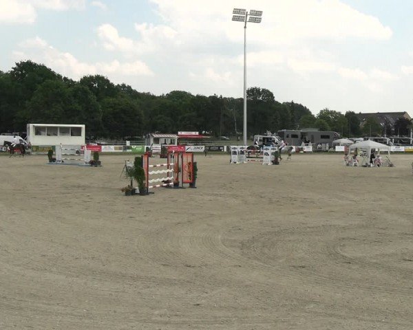 Reitturnier Langenfeld 2024