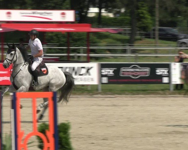 Reitturnier Langenfeld 2024