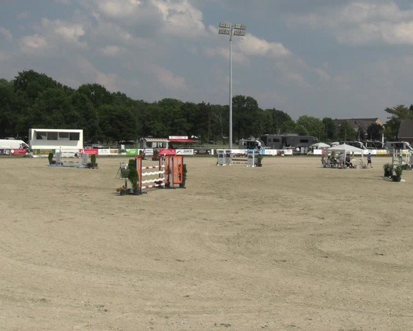 Reitturnier Langenfeld 2024