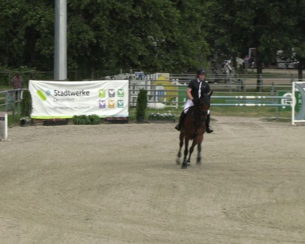 Reitturnier Langenfeld 2024