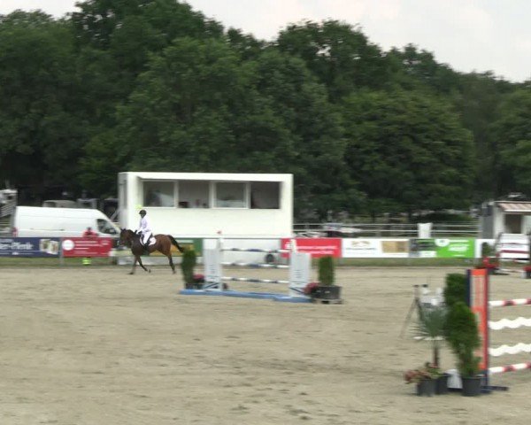 Reitturnier Langenfeld 2024