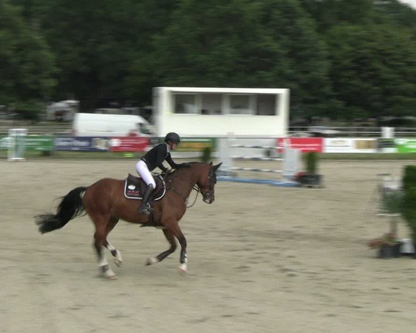 Reitturnier Langenfeld 2024