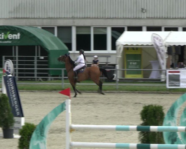 Reitturnier Langenfeld 2024
