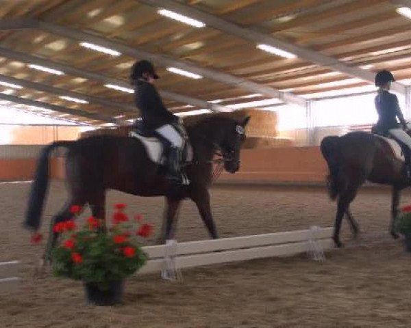 St. Georg Marl 2012