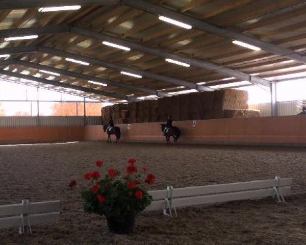 Reitturnier Marl 2012