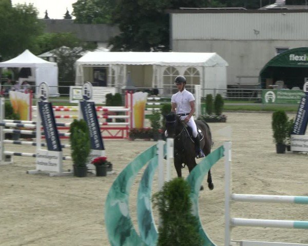 Reitturnier Langenfeld 2024