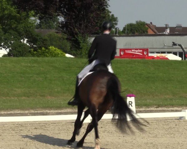 Reitturnier Langenfeld 2024