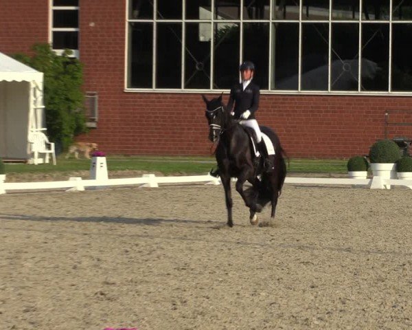 Reitturnier Langenfeld 2024