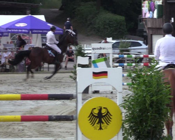 Reitturnier Schwerte-Gut Kückshausen 2024