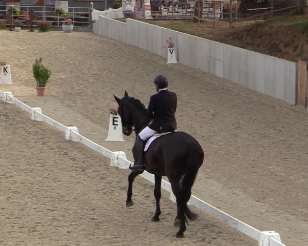 Reitturnier Uder, Reitanlage Kobold 2024