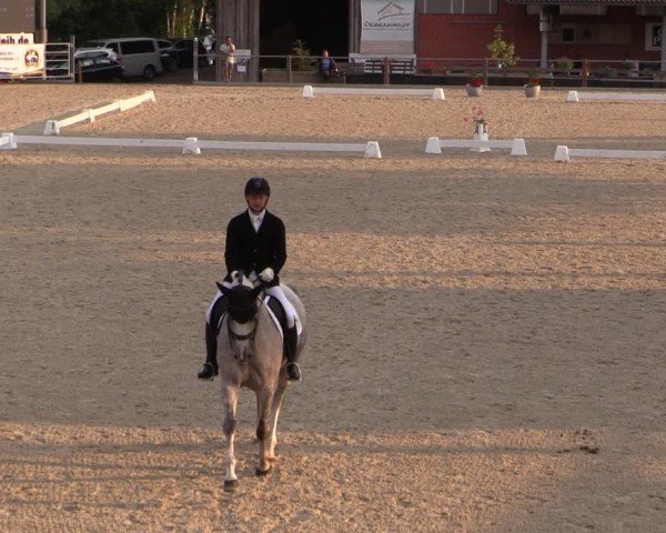 Reitturnier Uder, Reitanlage Kobold 2024