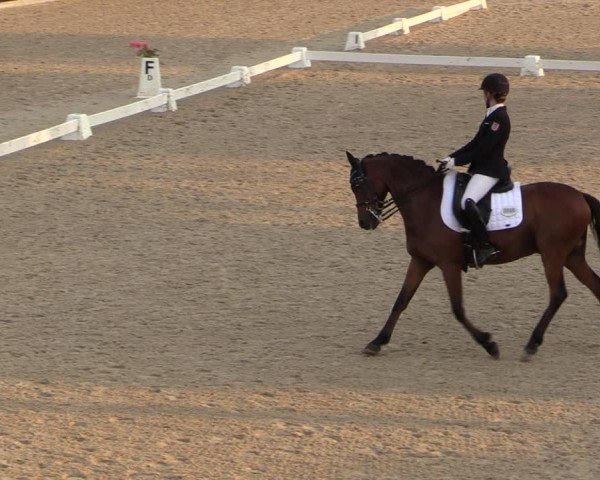 Reitturnier Uder, Reitanlage Kobold 2024