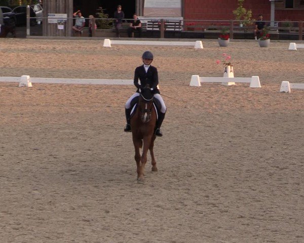 Reitturnier Uder, Reitanlage Kobold 2024
