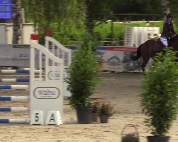 Reitturnier Schwerte-Gut Kückshausen 2024