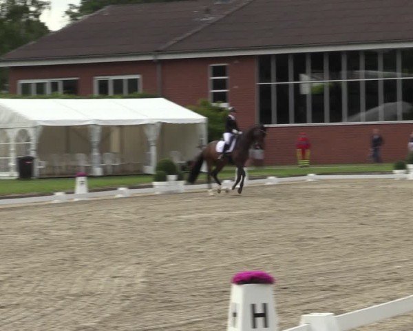 Reitturnier Langenfeld 2024