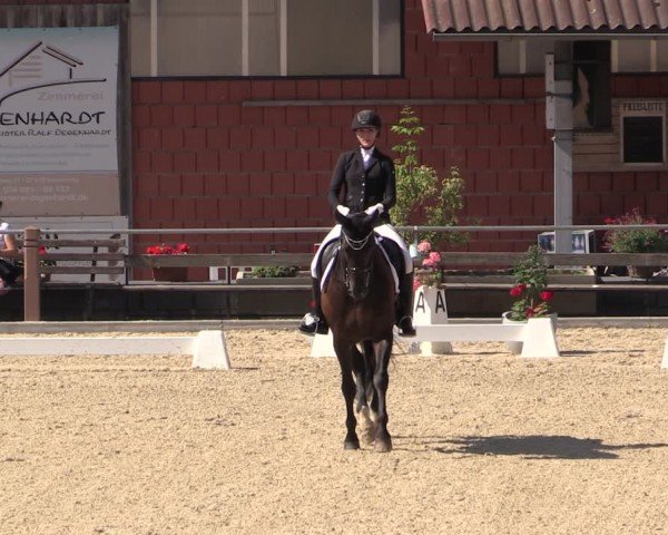 Reitturnier Uder, Reitanlage Kobold 2024