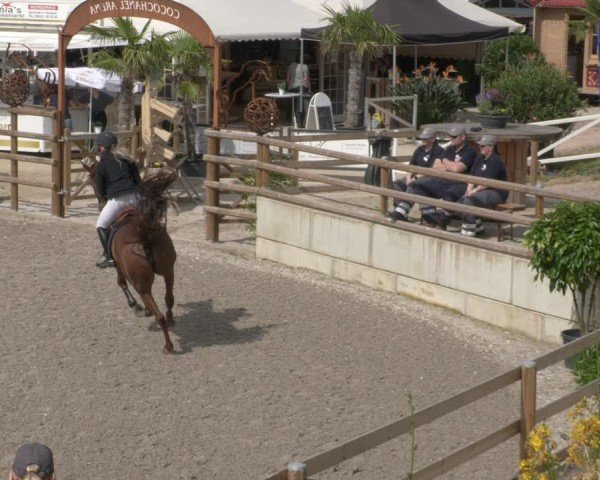 Reitturnier Margarethenhof / Beckingen 2024