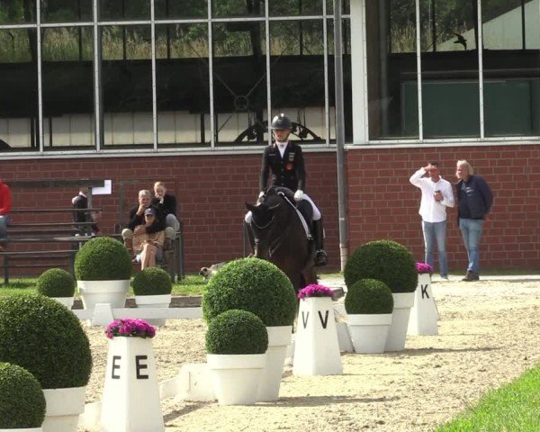 Reitturnier Langenfeld 2024