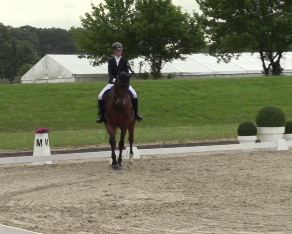 Reitturnier Langenfeld 2024
