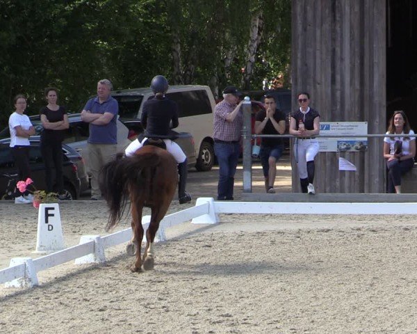 Reitturnier Uder, Reitanlage Kobold 2024