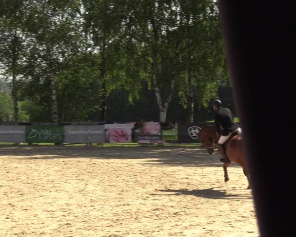 Reitturnier Schwerte-Gut Kückshausen 2024